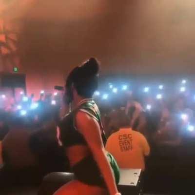 megan thee stallion twerking