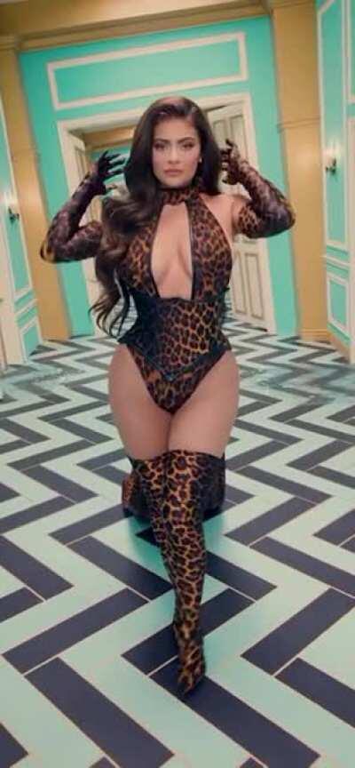 Kylie Jenner - Entry Thot Blueprint