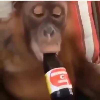 i wish i could hang out with them