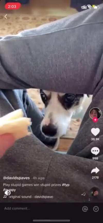 Stolen from r/instantkarma, where it was crossposted from r/WinStupidPrizes