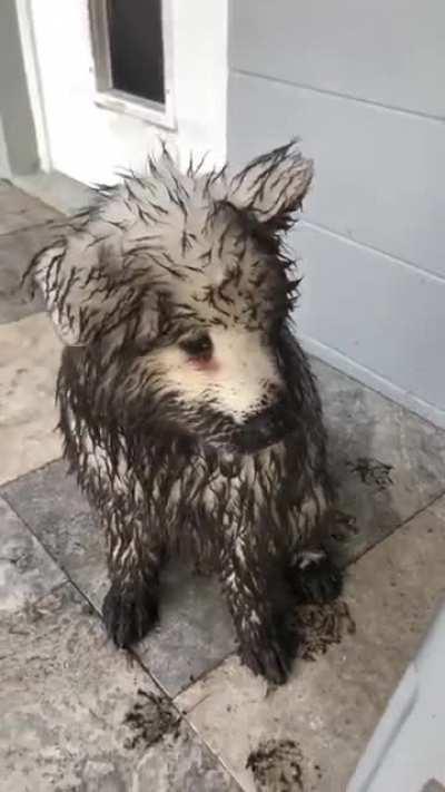 The Apple Doesn't Fall Far From The Tree