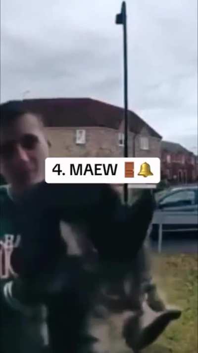 They're responsible for 87% of the world's noise pollution 