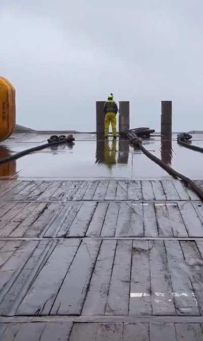 Why would you be this stupid?