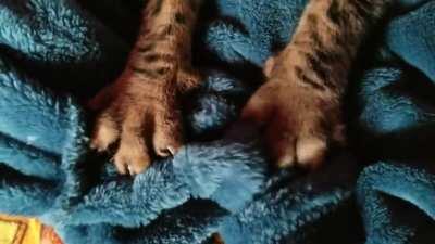 Closeup of Persia's special baking technique