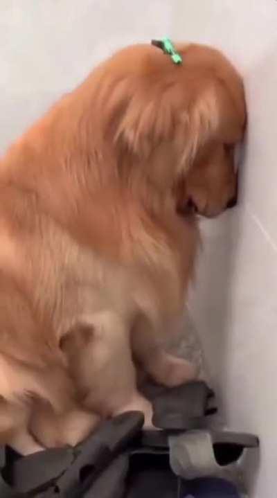 If I was the owner, I'd just go barefoot at this point