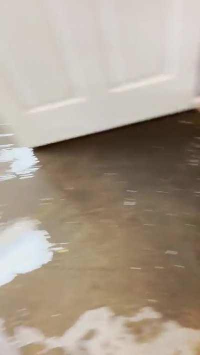 It’s just one of those vacuuming up sewage kinda days