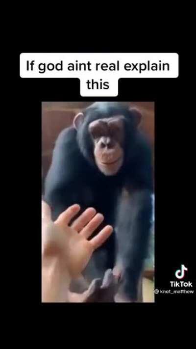 No this isn't meme this is wholesome video