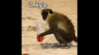 AQUI ESTA LA SEGUNDA PARTE DEL TOP 4 MONKEYS, 100 UPVOTES PARA LA TERCERA!