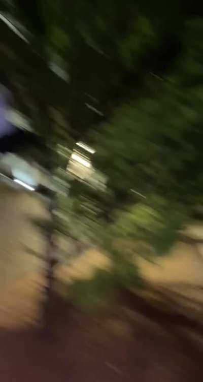 Drunk guy wearing sandals falls out of a tree.