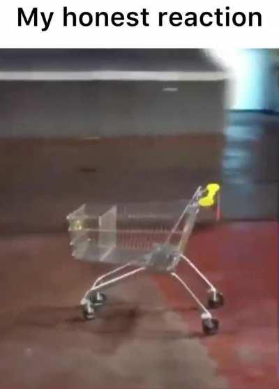 give me your best “my honest reaction” images/videos