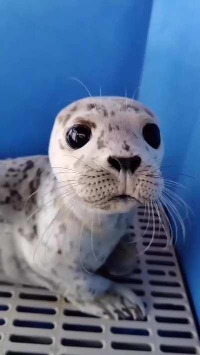 Rolling by to say hi