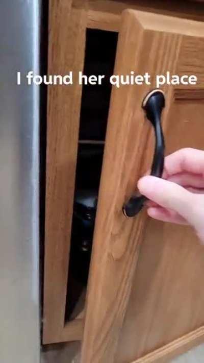 She decided she needed a new hiding spot.