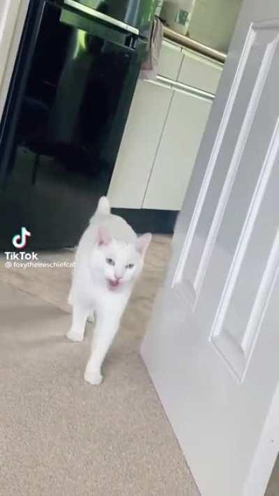 He likes to loudly announce his arrival