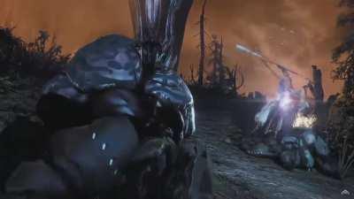 This was the most sick experience of the year.