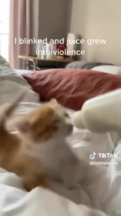 I mean, technically, his ears are indeed wiggling because of feeding time. However: