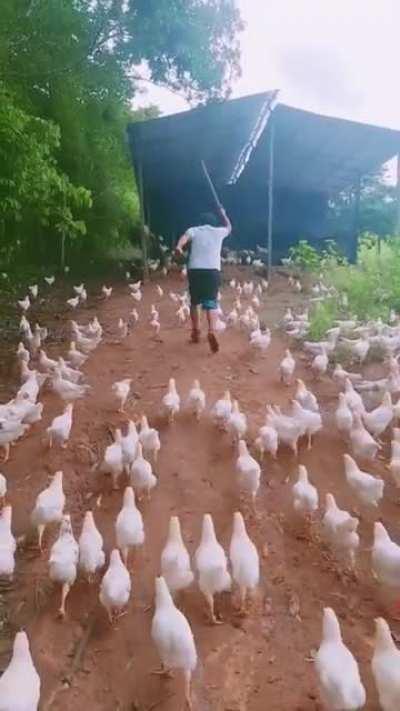 [No Spoilers] I Wish You Good Fortune in the Great Fast Food Wars to Come