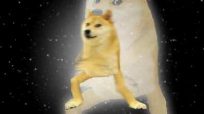 Dogedance
