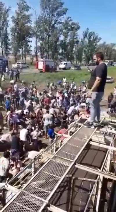 A truck carrying pigs overturned and neighbors came out to take them away