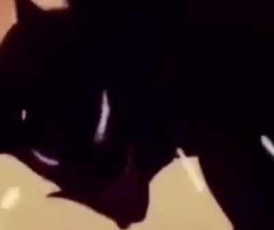 Song in this animation,(And maybe the source of this animation?)