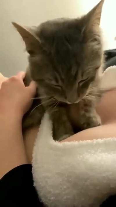 Umm... a friend sent me this