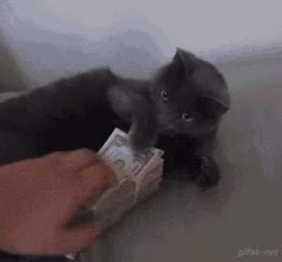 Incomprehensible greed