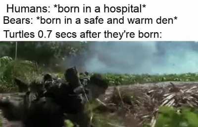 It is literally hell during birth
