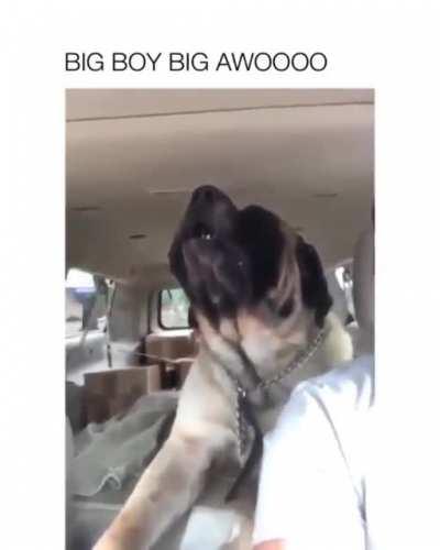 Прикинь услышать такое ночью дома