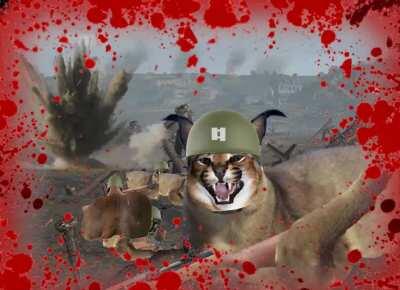 Floppa-Bingus Savaşı