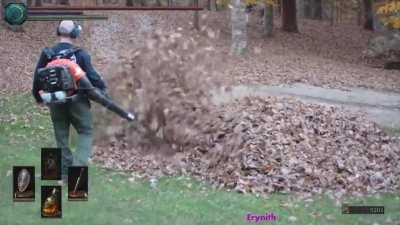 Parece una colmena de esporas