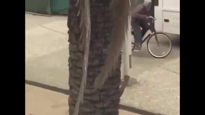 Tão rápido que nem viram ele passando