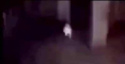 Break, Break, break my mind Break it 'til the tale unwinds Force my thoughts through hell and back Or leave me alone tonight