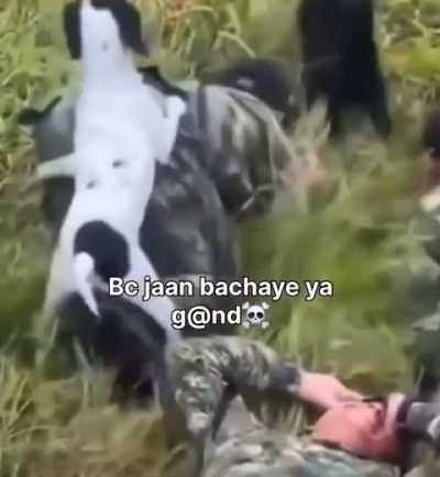 Armies are also not safe