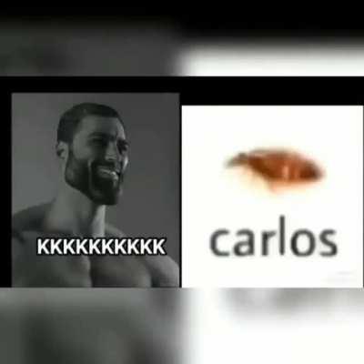 😀Carlos