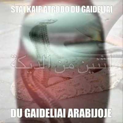 Du gaideliai Arabijoje?