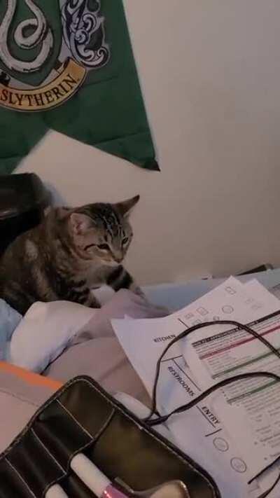 Sorry about my laughter