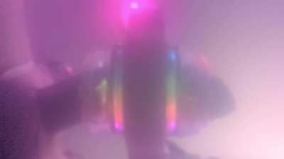 The dairy industry is disgusting with how much it wastes... This poor cows excess milk is sprayed all over and even covered our cameras!!! 🐮🥛