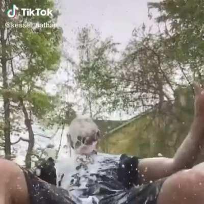 freshest milk in ohio