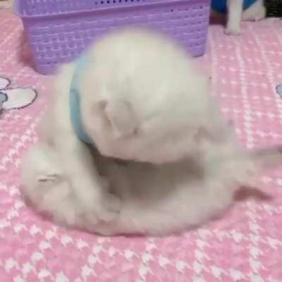 The new masseuse’s first customer