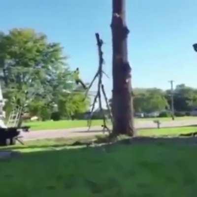 Added a little music to *ahem* amplify...