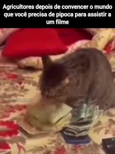 Kkkkkk