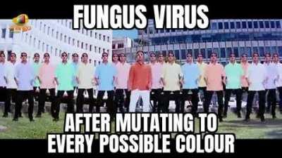 Black Fungus poovalante Big Chungus ki prayer cheeyandi. Virus do be vibing doe.