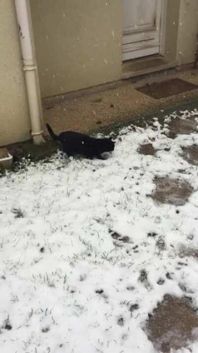 First steps of Rufio on the snow ^^ Puts sound on