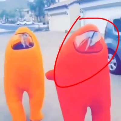 دام عزك يا وطن