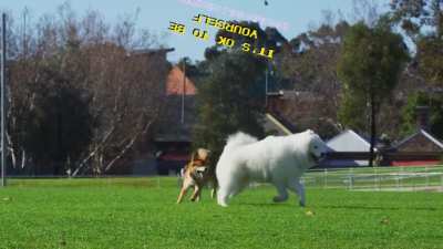 its okay to be yourself :D