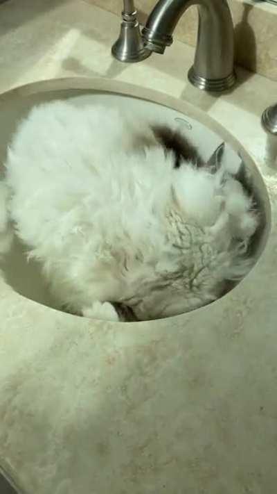 We have square sinks at home, so he’s really enjoying the rollability of a round one here