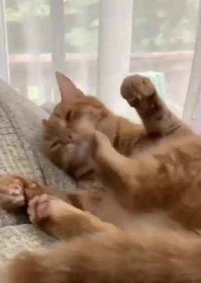 Paw.exe has encountered an error and must be restarted