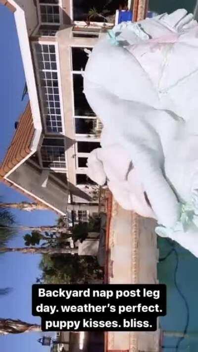 Backyard nap