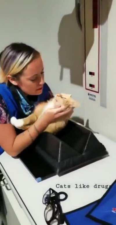 Under the influence.