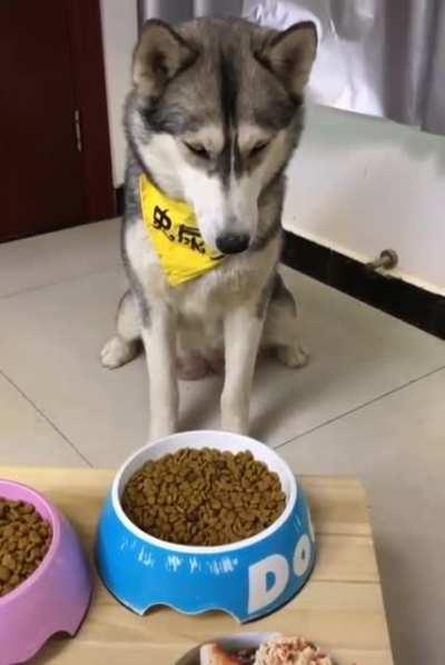 HMK while I choose a healthier option