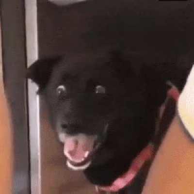 wItch OBliTEraTes FamiLIAR wiTH broomSTIck in fROnt oF thEir bRotheR